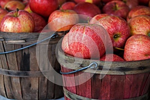 Autumn Apples In Bushel Baskets