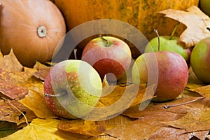 Autumn apples and pumpkins