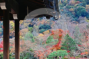 Autumn Arashiyama