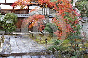 Autumn in Arashiyama