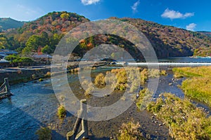 Autumn Arashiyama