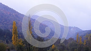 Autumn in the Arce Valley, Pyrenees of Navarra photo