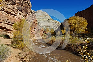 Autumn around Fremont River, Utah