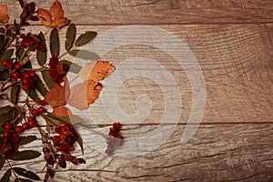 Autumn arrangement of colorful leaves, acorn, chestnut fruit on a wooden background with free space for text. Top view