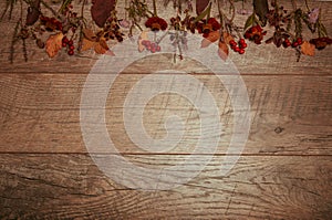 Autumn arrangement of colorful leaves, acorn, chestnut fruit on a wooden background with free space for text. Top view