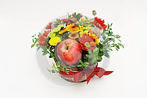 Autumn Arrangement of Flowers, and Fruits with Red Bow for Gift Isolated on White background. Closeup.