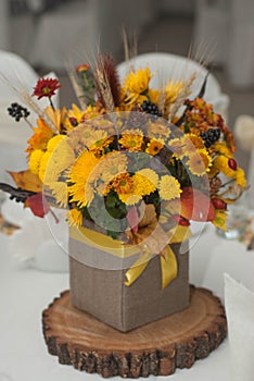 Autumn Arrangement of Flowers, Vegetables and Fruits Isolated on White Background. Closeup.