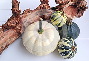 Autumn arrangement with pumpkins and wood