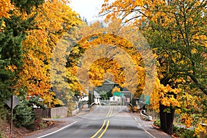 Autumn Arrives