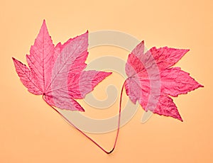 Autumn Arrives. Art Gallery. Fashion.Maple Leaves