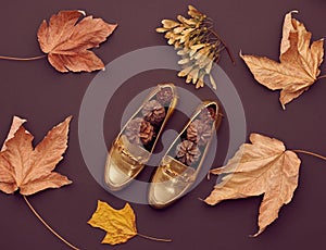 Autumn Arrives.Fashion Minimal.Retro.Fall Leaves