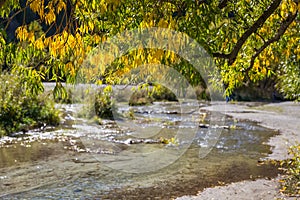 Autumn at Arrow town canel