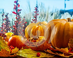 Autumn art composition - varied dried leaves, pumpkins, fruits, rowan berries on natural bright background. Autumn, fall