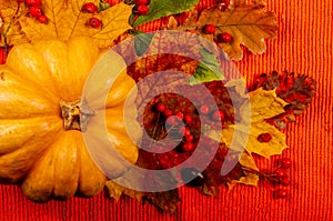 Autumn art composition - varied dried leaves, pumpkins, fruits, rowan berries on red background. Autumn, fall, halloween