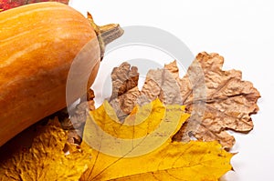 Autumn art composition - varied dried leaves, pumpkins, fruits, rowan berries on white background. Autumn, fall