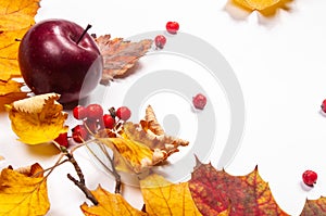 Autumn art composition - varied dried leaves, pumpkins, fruits, rowan berries on white background. Autumn, fall