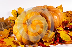 Autumn art composition - varied dried leaves, pumpkins, fruits, rowan berries on white background. Autumn, fall