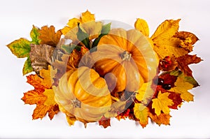 Autumn art composition - varied dried leaves, pumpkins, fruits, rowan berries on white background. Autumn, fall