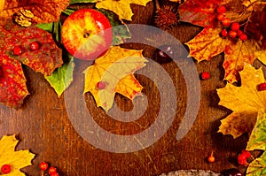 Autumn art composition - varied dried leaves, pumpkins, fruits, rowan berries on wooden background. Autumn, fall