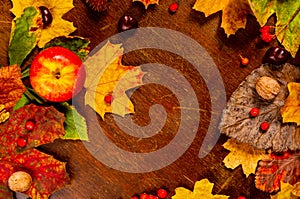 Autumn art composition - varied dried leaves, pumpkins, fruits, rowan berries on wooden background. Autumn, fall