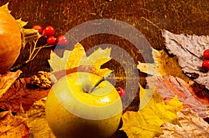 Autumn art composition - varied dried leaves, pumpkins, fruits, rowan berries on wooden background. Autumn, fall