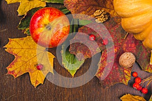 Autumn art composition - varied dried leaves, pumpkins, fruits, rowan berries on wooden background. Autumn, fall