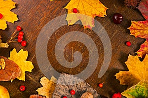 Autumn art composition - varied dried leaves, pumpkins, fruits, rowan berries on wooden background. Autumn, fall