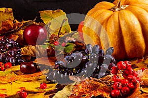 Autumn art composition - varied dried leaves, pumpkins, fruits, rowan berries on wooden background. Autumn, fall