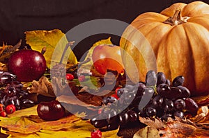 Autumn art composition - varied dried leaves, pumpkins, fruits, rowan berries on wooden background. Autumn, fall