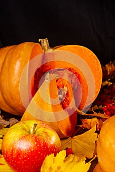 Autumn art composition - varied dried leaves, pumpkins, fruits, rowan berries on wooden background. Autumn, fall