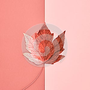 Autumn Art. Fall Fashion. Minimal. Maple Leaf