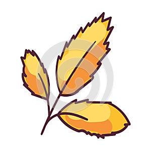 Autumn Ash Tree Leaf Foliage Stroked Illustration