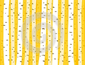 Autumn aspen grove, seamless tileable background pattern. Birch or aspen trees with yellow leaves. Vector illustration