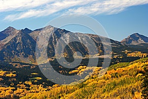 Autumn aspens near Kebler Pass in Colorado photo