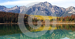 Autumn aspens reflected in the Rocky Mountains