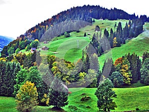 Autumn atmosphere on pastures and hills in the Thur River Valley