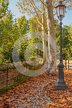 An autumn avenue bordered by a low wall, trees and an ancient street lamp