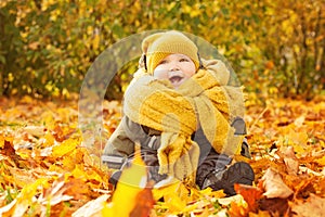 Autumn Baby on Fall Maple Leaves Outdoors