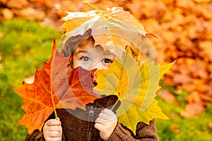 Autumn Baby Portrait In Fall Yellow Leaves, Little Child In Woolen Hat, Beautiful Kid in Park Outdoor, Knitted Clothing