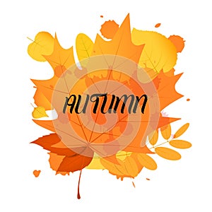 Autumn backdrop with yellow and orange leaves isolated on white background.