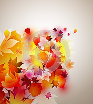 Autumn background