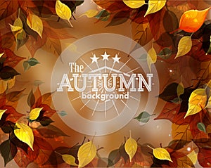 Autumn background