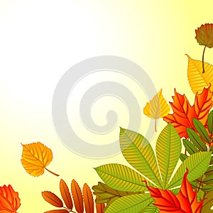 Autumn background