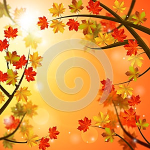 Autumn background