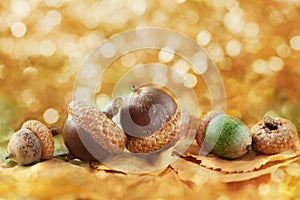 Autumn background with acorns, leaves and fantastic bokeh with copy space for your text