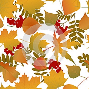 Autumn background with autumn leaves