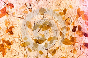 Autumn background - autumn leaves