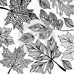Autumn background. Autumn leaves illustration. autumn heart. nat