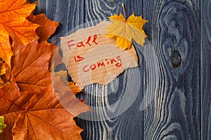 Autumn background/Autumn leaves over wooden background