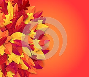 Autumn background banner with red and orange leaves.